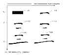 Fig. 01 - METHOD AND APPARATUS FOR CALLIGRAPHIC BEAUTIFICATION OF HANDWRITTEN CHARACTERS