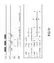 Fig. 16 - Thermal printer