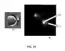 Fig. 15 - Apparatus and method for localizing objects for distance and/or in three dimensions using a spiral point spread function