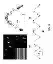 Fig. 17 - Apparatus and method for localizing objects for distance and/or in three dimensions using a spiral point spread function