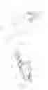 Fig. 05 - Decorative light clip