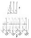Fig. 06 - Local word line driver