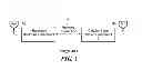 Fig. 02 - Integrated microwave backhaul support in cellular products