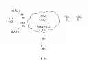 Fig. 02 - Mechanism for E-VPN interoperability with VPLS
