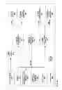 Fig. 04 - Selective mirroring of media output