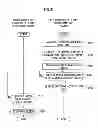 Fig. 09 - Radiographic imaging device and method with stop timing based on dosage detection