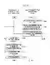 Fig. 16 - Radiographic imaging device and method with stop timing based on dosage detection