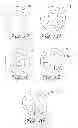 Fig. 04 - DIRECT DIGITAL SPEAKER APPARATUS HAVING A DESIRED DIRECTIVITY PATTERN