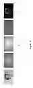Fig. 06 - Image cropping using supervised learning
