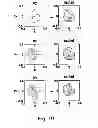 Fig. 08 - METHOD FOR IMAGE PROCESSING AND AN APPARATUS