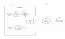 Fig. 01 - Multiprotocol transport using polarization division multiplexing