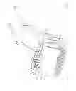 Fig. 07 - Bale cutting apparatus and method