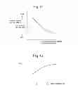 Fig. 09 - Exhaust purification system of internal combustion engine