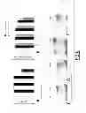 Fig. 07 - Methods for obtaining stem cells