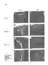 Fig. 02 - CANDIDATES AGAINST INFECTION
