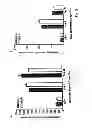 Fig. 04 - CANDIDATES AGAINST INFECTION