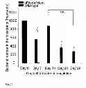 Fig. 11 - CANDIDATES AGAINST INFECTION