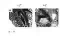 Fig. 17 - CANDIDATES AGAINST INFECTION