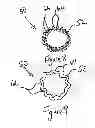Fig. 05 - APPARATUS AND METHOD FOR THE TREATMENT OF ABNORMAL UTERINE BLEEDING