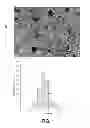 Fig. 02 - ABSORPTION METHOD FOR ENTRAPMENT OF DRUGS IN POLYMERIC NANOPARTICLES