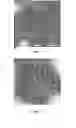 Fig. 02 - THERMAL INACTIVATION OF ROTAVIRUS