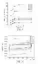 Fig. 06 - PROCESS FOR PREPARING A SOLID STATE ELECTROLYTE USED IN AN ELECTROCHEMICAL CAPACITOR