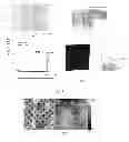 Fig. 06 - SOFT-TEMPLATE INFILTRATION MANUFACTURING OF NANOMATERIALS