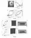 Fig. 08 - SOFT-TEMPLATE INFILTRATION MANUFACTURING OF NANOMATERIALS