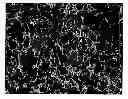 Fig. 01 - Aluminum nitride substrate for circuit board and production method thereof