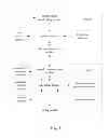 Fig. 02 - PARENT-CHILD INTERACTIVE EDUCATION SYSTEM AND METHOD