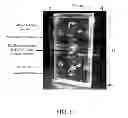 Fig. 02 - Primer set, method and kit for detecting pathogen in fish