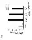 Fig. 06 - Method for the synthesis of chiral cyanohydrins via a hydroxynitrile lyase from brassicaceae
