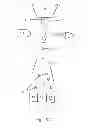 Fig. 04 - Method of in-vitro fertilization with spermatozoa separated into X-chromosome and Y-chromosome bearing populations