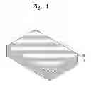 Fig. 02 - METHOD OF GROWING ZINC OXIDE NANOWIRE