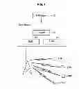 Fig. 02 - Base station, method for radio communication, program, radio communication system, and radio terminal