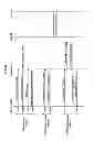 Fig. 08 - Base station, method for radio communication, program, radio communication system, and radio terminal