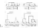 Fig. 02 - NOVEL MICRORNAS FOR THE DETECTION AND ISOLATION OF HUMAN EMBRYONIC STEM CELL-DERIVED CARDIAC CELL TYPES