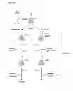 Fig. 02 - Peptide antimicrobials