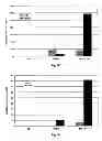 Fig. 03 - Method for promoting regeneration of pancreatic beta-cells by administering neurturin
