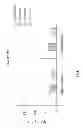 Fig. 02 - METHOD OF INHIBITING INCREASE OF IMMUNOGLOBULIN A