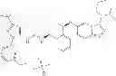 Fig. 554 - Kinase inhibitors