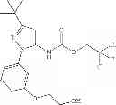 Fig. 586 - Kinase inhibitors