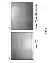 Fig. 07 - Improving efficacy of cancer therapy