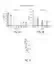 Fig. 09 - Oligo-benzamide compounds and their use in treating cancers