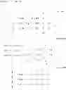 Fig. 06 - DIMERIC DOUBLE METAL SALTS OF (-) HYDROXYCITRIC ACID, METHODS OF MAKING AND USES OF SAME