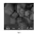 Fig. 04 - Process for producing protein microparticles
