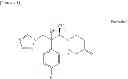 Fig. 02 - Process for producing 1-triazole-2-butanol derivatives