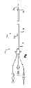 Fig. 02 - Intrajugular catheter and method