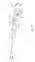 Fig. 16 - Biopsy device with slide-in probe