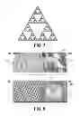 Fig. 06 - Method for increasing the permeability of an epithelial barrier
